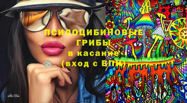 ECSTASY Бородино