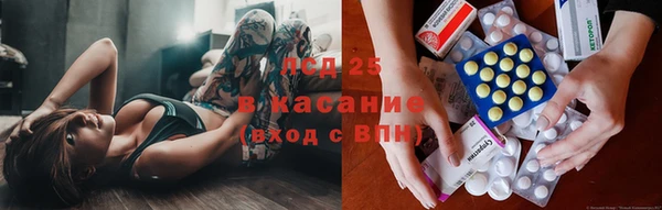 соль ск Медногорск