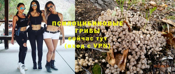 прущая мука Мегион