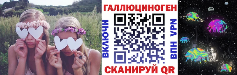 закладка  Дальнереченск  Галлюциногенные грибы Psilocybine cubensis 