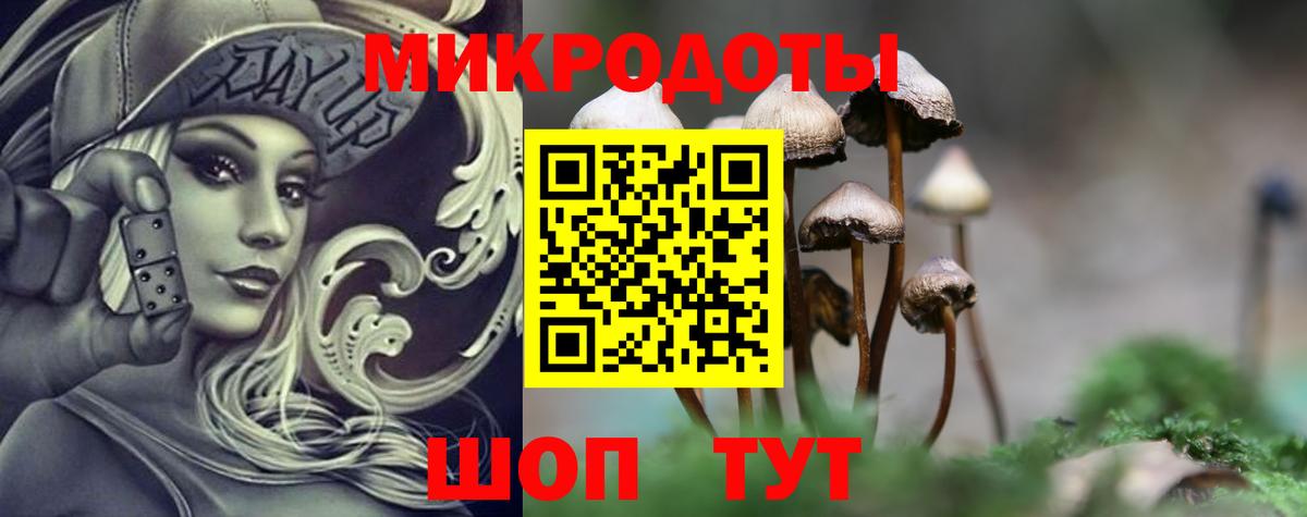 Галлюциногенные грибы Psilocybe Дальнереченск